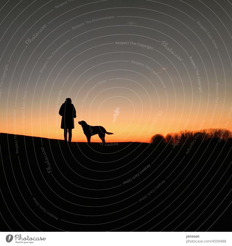 Frau mit Hund vor Sonnenuntergang Silhouette Schatten schwarz Labrador Haustier Außenaufnahme Mensch Mensch und Hund Mensch und Tier Umrisse ruhig Abendstimmung