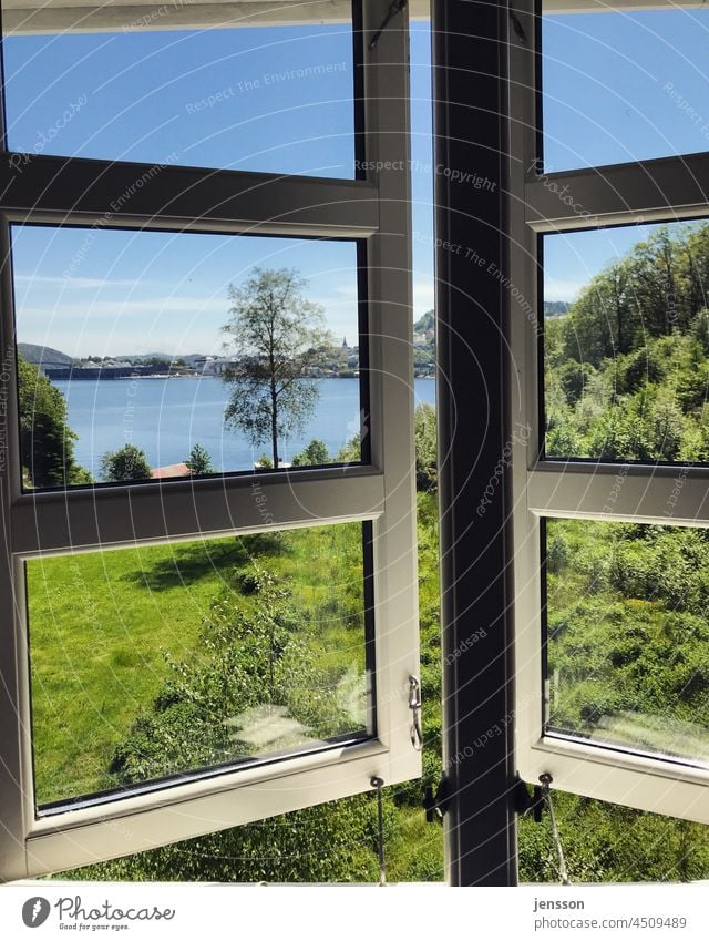 Blick aus dem Fenster auf einen See Norwegen Fjord Fjordblick Sommer grün Garten Sprossenfenster Sonne Sonnenlicht warm sonnig sommerlich blau blauer Himmel