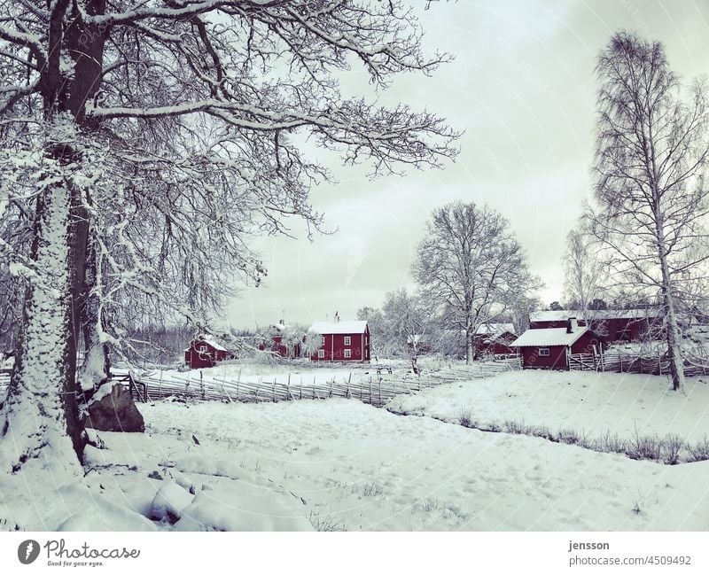 Winter in Schweden Winterstimmung Wintertag Schnee winterlich kalt Wintereinbruch Wetter Kälte weiß Dezember Landschaft Klima Natur Skandinavien rot