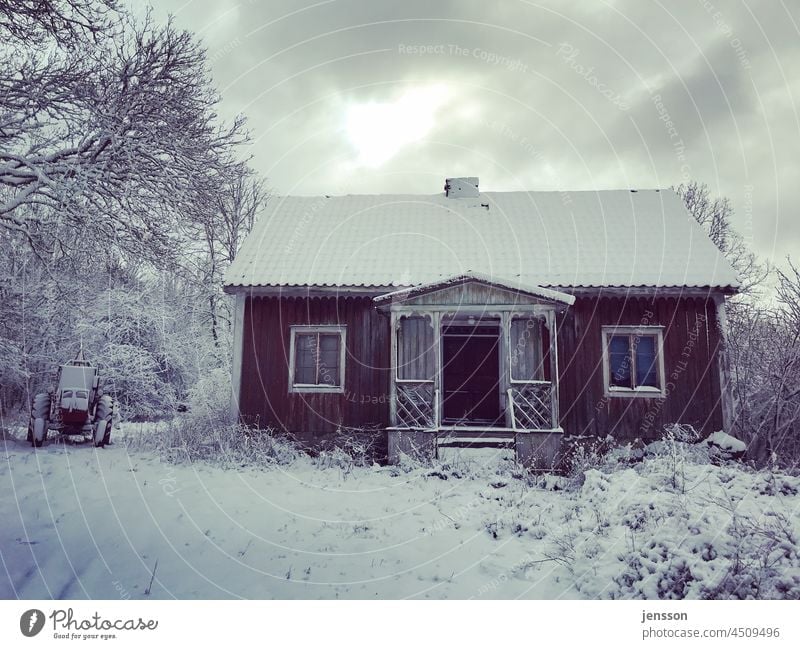 verlassenes Holzhaus im Winter Schweden Schwedenhaus Winterstimmung Wintertag verschneit verschneite Bäume winterlich Schnee kalt weiß Natur Kälte frieren grau