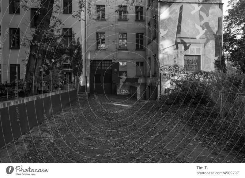 ein Berliner Hinterhof im Herbst s/w Innenhof old Ruine Stadt Schwarzweißfoto Architektur Außenaufnahme Menschenleer Tag Stadtzentrum Gebäude Haus Hauptstadt