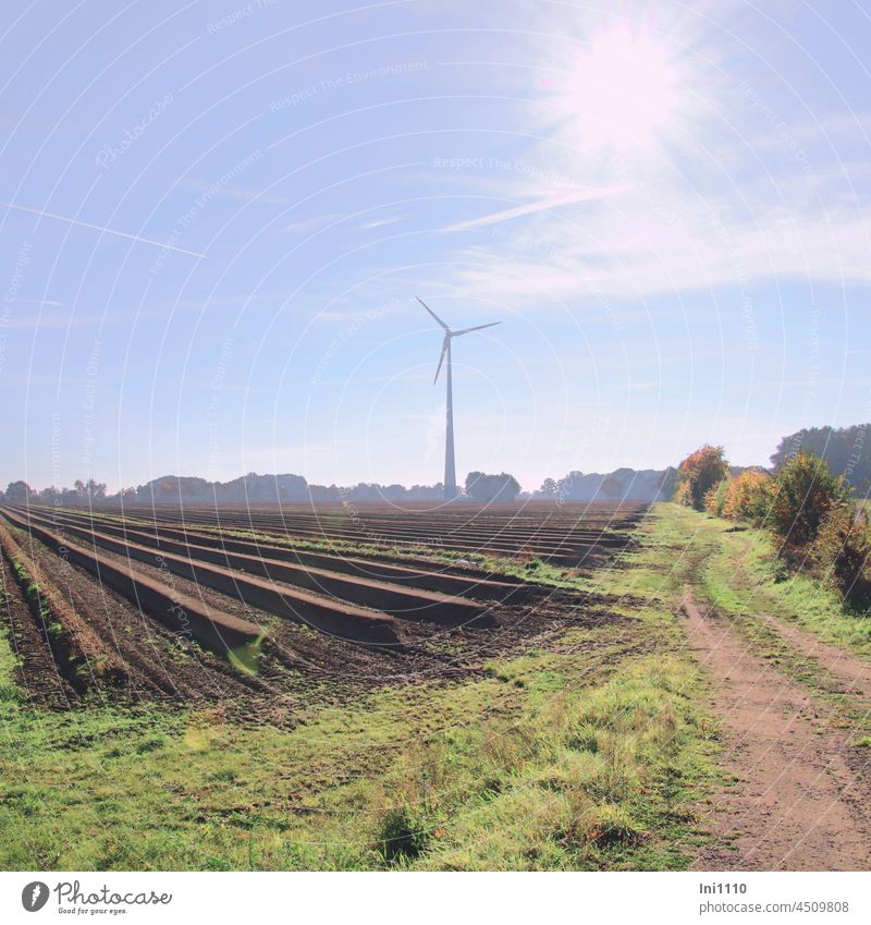 Spargeldämme auf dem Acker mit Windrad im Hintergrund Herbst schönes Herbstwetter Landwirtschaft Ackerbau Gemüseanbau Anpflanzung nächste Saison Reihen Erde