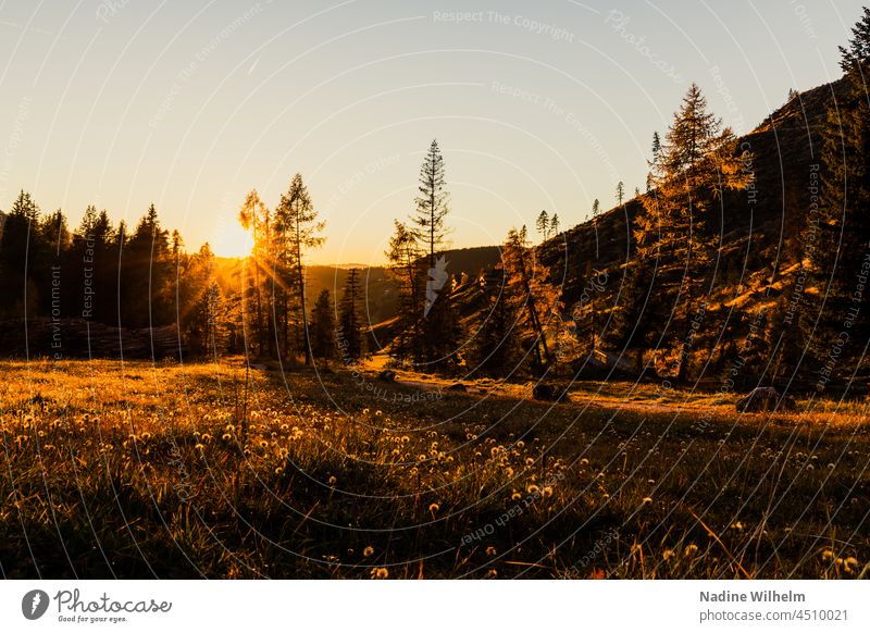 Sonnenuntergang im Rosengarten Sonnenlicht Landschaft Dolomiten Berge u. Gebirge Außenaufnahme Natur Farbfoto Alpen Menschenleer Südtirol Himmel Schönes Wetter
