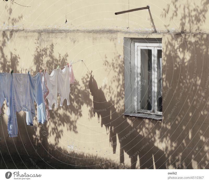 Trockengebiet Waschtag Wäscheleine hängen Textilien Wiese Wäscheklammern Farbfoto Außenaufnahme Sauberkeit Bekleidung T-Shirt Wäscheständer draußen