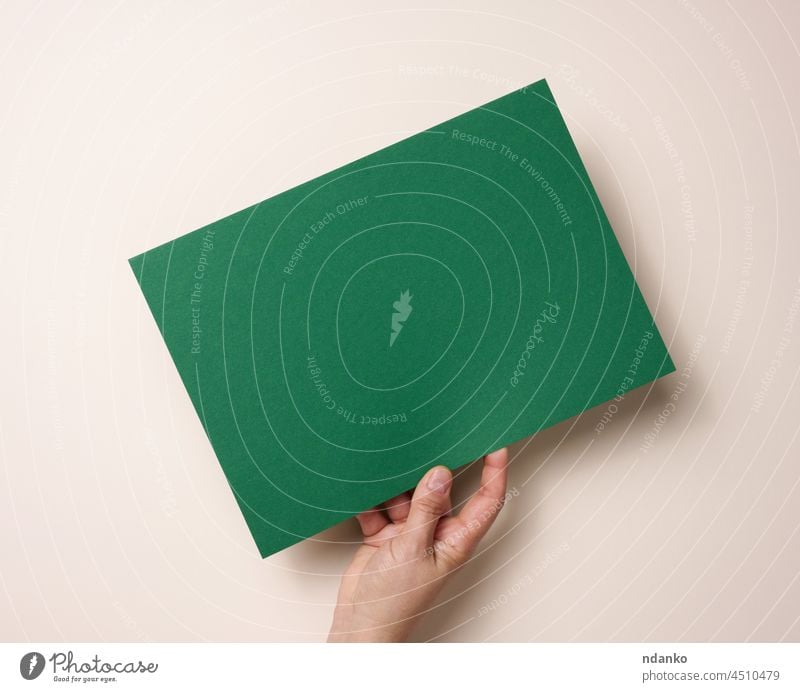Weibliche Hand hält leeres grünes Papier auf einem beigen Hintergrund. Kopierraum Anzeige Erwachsener inserieren Inserat Werbung Ankündigung Arme blanko