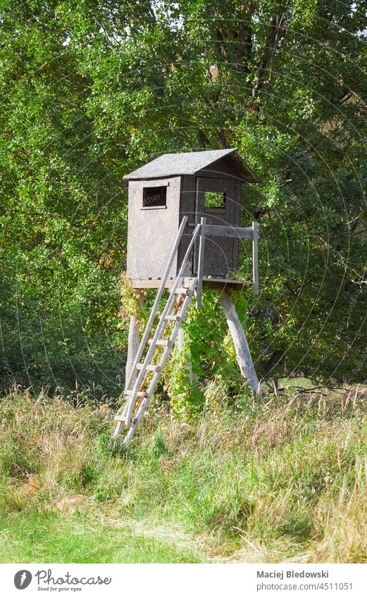 Abbildung einer hölzernen Jagdkanzel für Hirsche und Wildschweine. Turm Kanzel stehen Tierhaut Wald Feld Eber jagen grün Umwelt erhöht Kasten Landschaft Polen