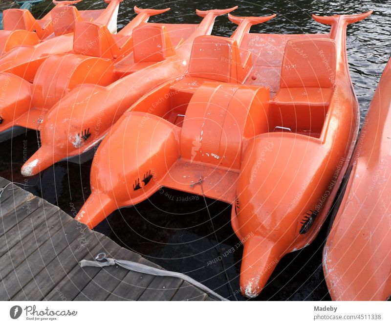 Tretboote aus Kunststoff in leuchtendem Orange im kitschigen Delphin Design am Bootssteg im Sommer am Poyrazlar Gölü bei Adapazari in der Provinz Sakarya in der Türkei