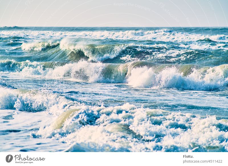 Wilde Wellen an der Nordseeküste Meer Ozean Natur Umwelt Wasser Küste blau Ferien & Urlaub & Reisen Himmel ozean Außenaufnahme Strand Landschaft Farbfoto