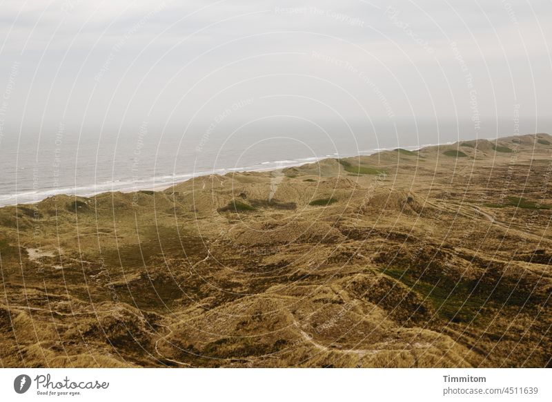 Blick vom Leuchtturm auf Dünen und Nordsee Ausblick herunterschauen Ferne Pfade Wege & Pfade Dünengras Dänemark Wellen diesig Himmel Wolken Küste