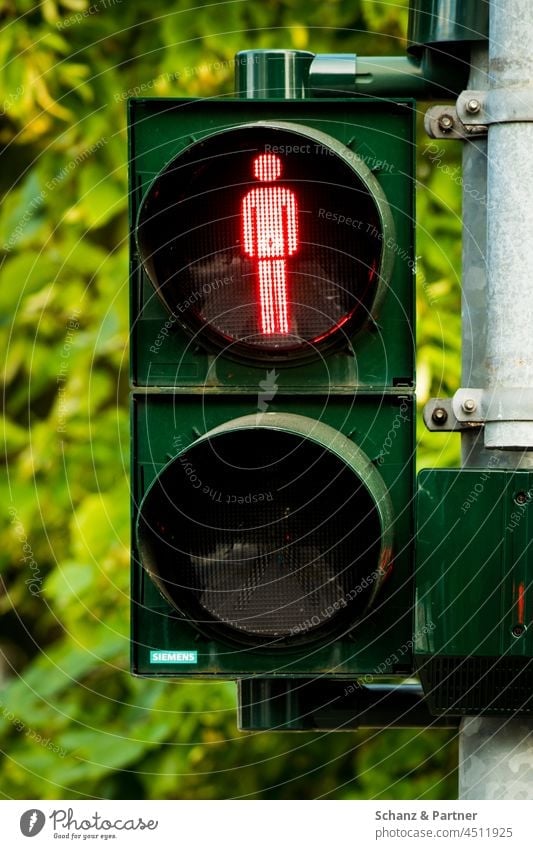 die Fußgängerampel steht auf rot Männchen stehen Rotlicht Stehenbleiben Ampelmännchen Verkehrszeichen Lichtsignalanlage verboten stehen bleiben Stop