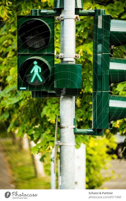 die Fußgängerampel steht auf grün Männchen Ampelmännchen grünlicht Verkehrszeichen Lichtsignalanlage verboten stehen bleiben Stop Straßenverkehr Verkehrswege