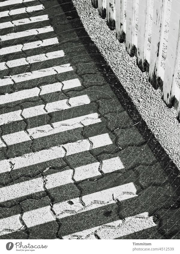 Ein betagter Lattenzaun und sein Schatten Zaun Holz alt verwittert Wege & Pfade Pflastersteine Linien Schwarzweißfoto grau schwarz Menschenleer Sonnenlicht