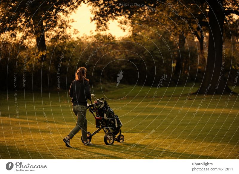 Junge Frau läuft mit Golftasche und Trolley bei Abendsonne über den Golfplatz Golftrolley Golfbag laufen gehen Golfspieler Sport grün Sonne Abendstimmung