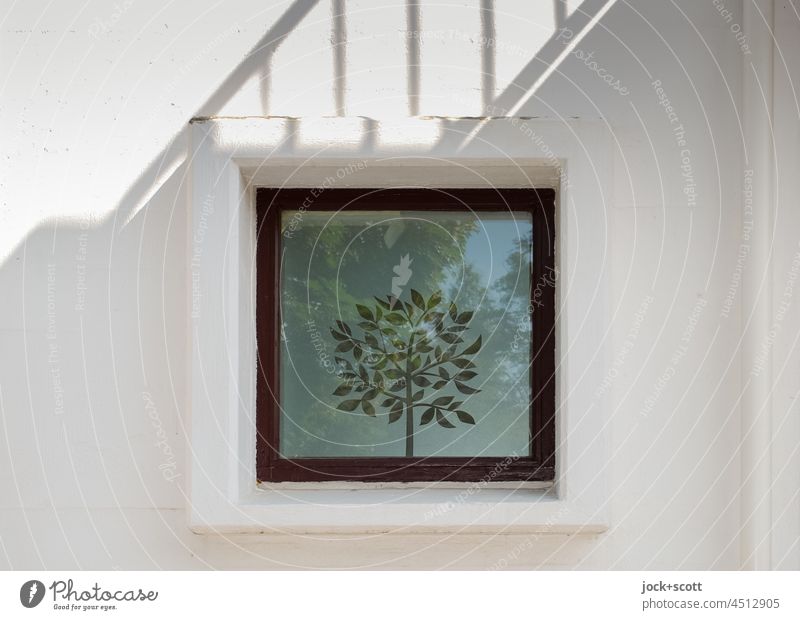 Glasdekor für Fenster, ein Baum Dekoration & Verzierung Laubbaum Schattenspiel Fassade Wand Quadrat Reflexion & Spiegelung Sonnenlicht Geländer Kontrast