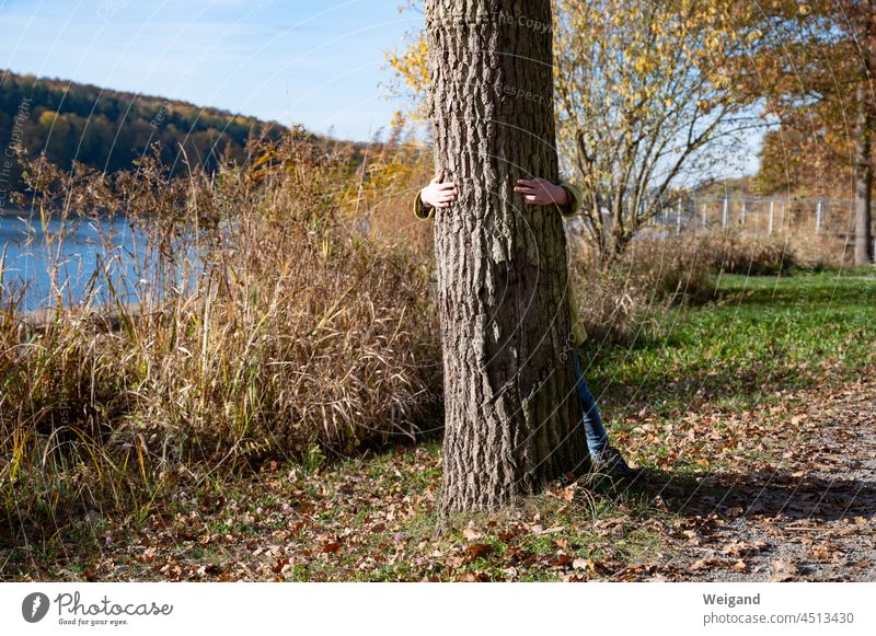 einen Baum umarmen in der Natur See Klimaschutz Naturschutz Naturdenkmal Eiche Rinde Herbst Kindheit