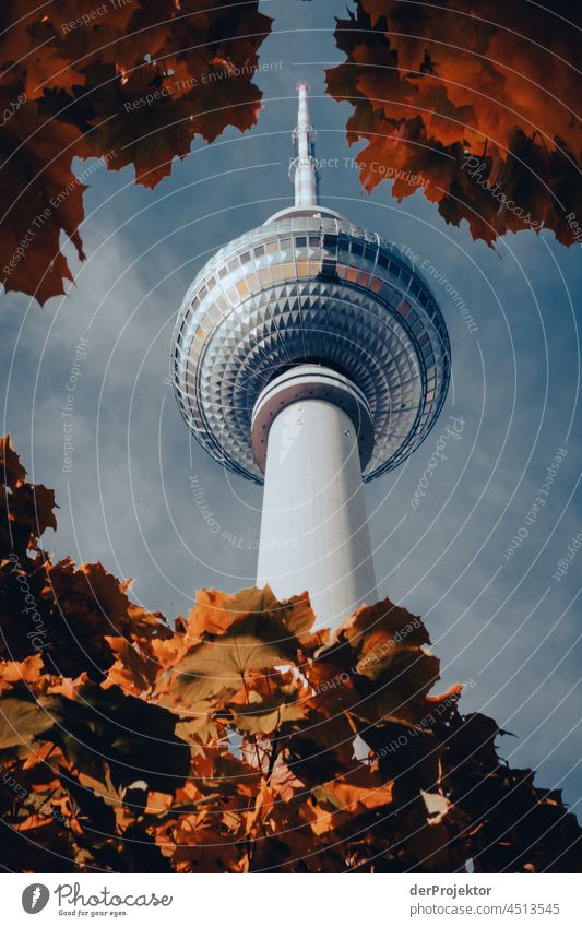 Berliner Fernsehturm III berlin berlinerwasser derProjektor dieprojektoren farys joerg farys ngo ngo-fotograf Starke Tiefenschärfe Kontrast Licht Tag