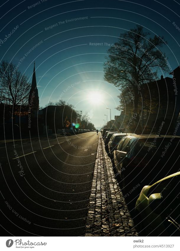 Zielführend Straße Verkehrswege Allee Straßenbelag Schatten Zentralperspektive städtisches Leben Auto Gegenlicht Radfahrer Sonnenlicht Fahrradfahren radeln