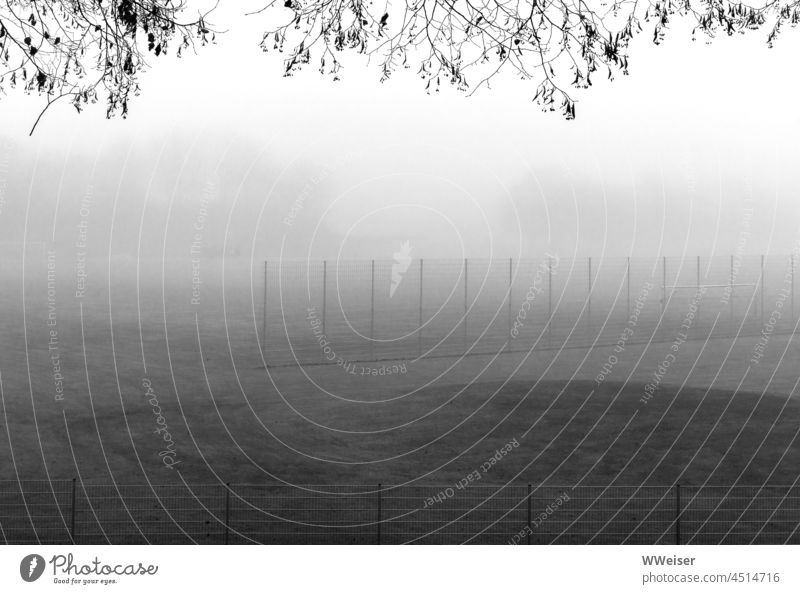 Der Sportplatz ist im nebel kaum noch zu erahnen Nebel grau unklar olympisch park München spazieren Baum Zweige minimalistisch Zaun Gitter Wiese Gras Training