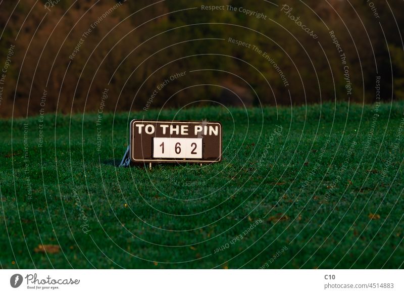 To the pin Zeichen auf einem Golfplatz schließen am nächsten Club Land Kurs Tau Fairway Spiel Tor Golfer Golfen Gras grün Hobby Landschaft Freizeit Messung