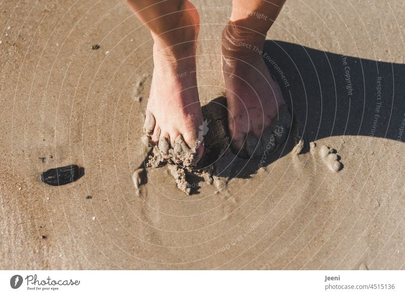 Fühlst du den Sand zwischen den Zehen Barfuß Fuß fuesse Beine Mensch Haut nackt Strand Wasser Meer nass kalt Erfrischung erfrischend Küste Sonne Sonnenlicht