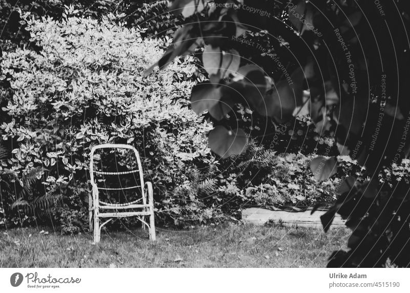 Alter Stuhl im Garten Schrebergarten Büsche alt Metall-Stuhl Blätter Außenaufnahme schrebergarten Menschenleer ruhe erholung natur kleingartenkolonie ferien