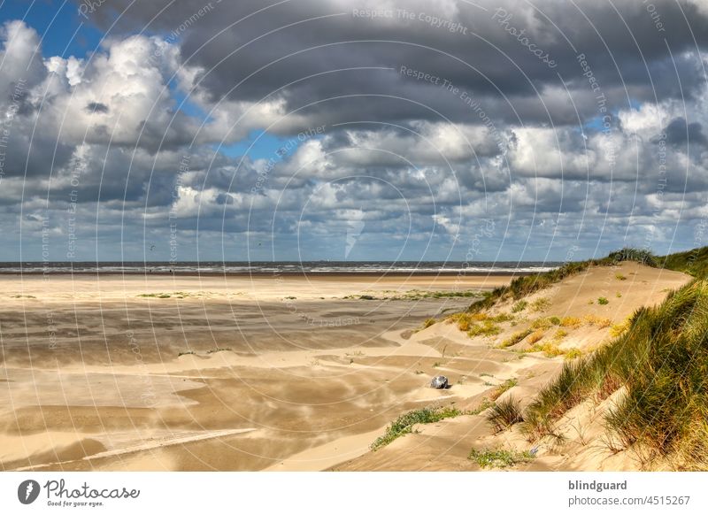 Stürmische Nordsee in Zeebrugge Freiheit Dünen Wilken Wind Wasser Verwehungen DünenDünengras Sturm stürmisch Meer Außenaufnahme Küste Natur herrlich Leben