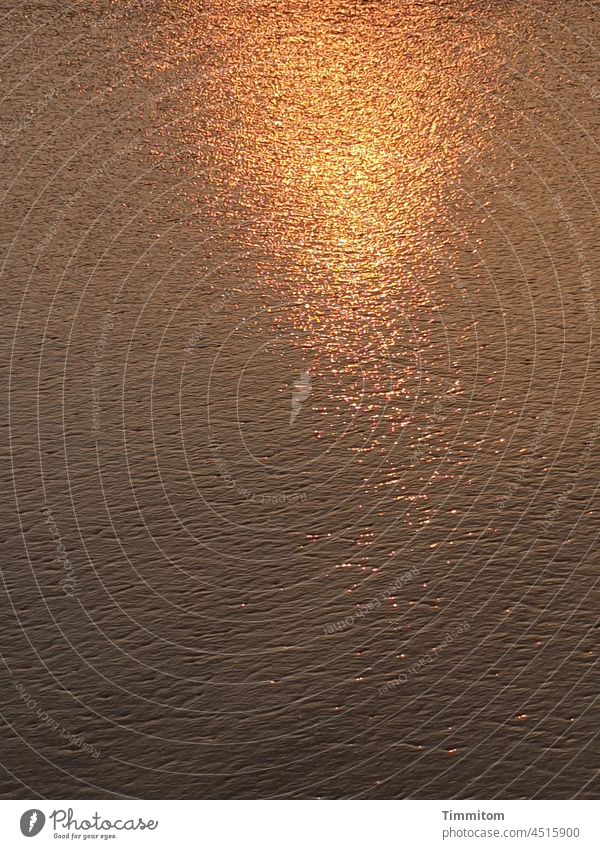 Abends an der Nordsee - Sonnenlicht auf abfließendem Wasser Abendlicht Sonnenuntergang glitzern golden Sandstrand Menschenleer Meer Strand