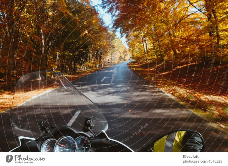 Motorradausfahrt durch herbstliche Wälder zum Saisonschluß - Teilansicht auf das Motorradcockpit - Sichtweise des Sozius auf die Straße Herbst Jahreszeiten