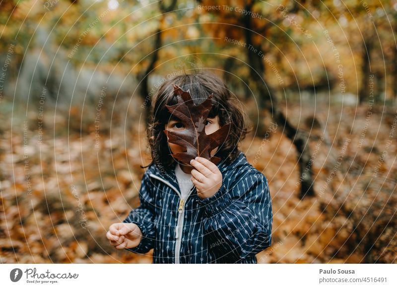 Niedliches Mädchen spielt mit Blättern Kind 3-8 Jahre Kaukasier Außenaufnahme Kindheit Mensch Europäer Farbfoto Herbst authentisch Winter Spaß haben herbstlich