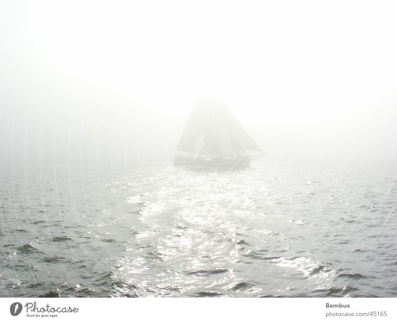 Segelschiff Meer Niederlande Horizont Nebel Schifffahrt Sonne hell Wasser