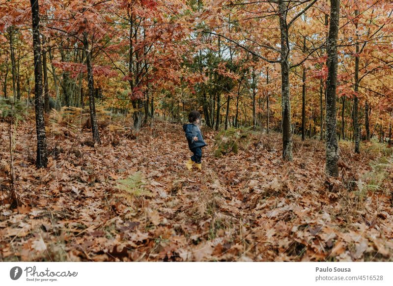 Kind erkundet den Wald Kindheit Mädchen 3-8 Jahre Kaukasier erkunden Freizeit & Hobby mehrfarbig Außenaufnahme Natur Leben authentisch Fröhlichkeit Mensch