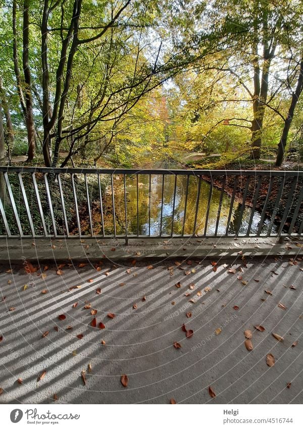 Herbst im Park - Geländer einer Brücke wirft Schatten auf die Straße, auf der Laub liegt. Dahinter ein Flüsschen mit Bäumen in Herbstfärbung und Spiegelung im Wasser