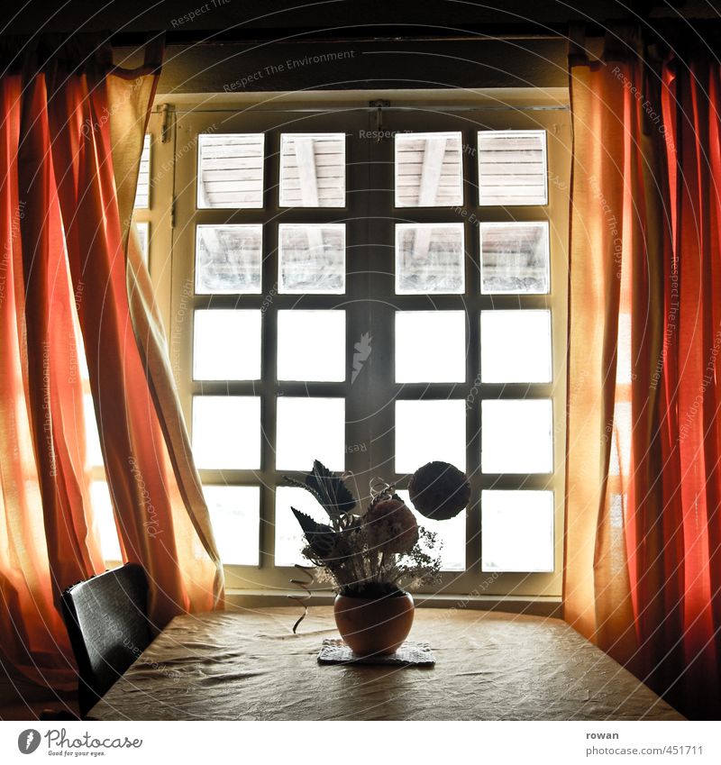 bei opa Haus Einfamilienhaus Gebäude Architektur Fenster rot Vorhang Stuhl Tisch Blume Blumenvase Dekoration & Verzierung leuchten orange Raum Innenarchitektur