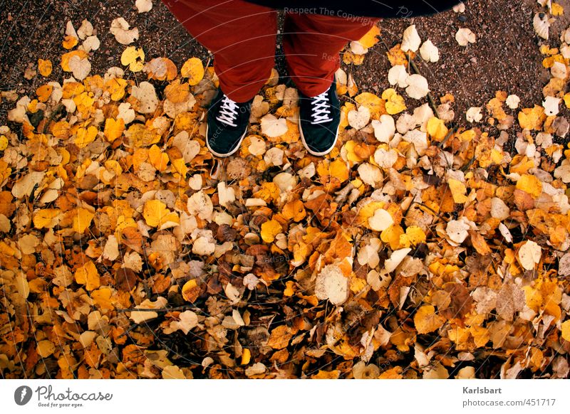 herbst so rum Ausflug wandern Erntedankfest Studium Mensch 1 Natur Herbst Blatt Fußgänger Wege & Pfade Hose Schuhe Turnschuh laufen stehen Bewegung Herbstlaub