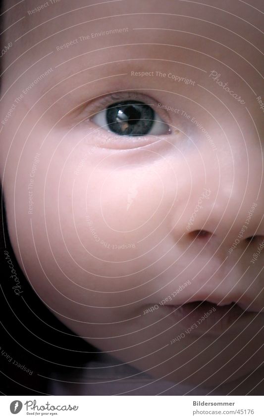Mia June Kind Baby Kindheit Gesicht Auge 1 Mensch 0-12 Monate beobachten Blick niedlich schwarz Vertrauen Warmherzigkeit Tag Farbfoto Gedeckte Farben