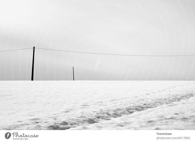 Kommt gut in den Winter. Schnee Spuren kalt Masten Pfosten Holz Himmel Wolken weiß Menschenleer Landschaft Einsamkeit Stromleitung Schwarzwald