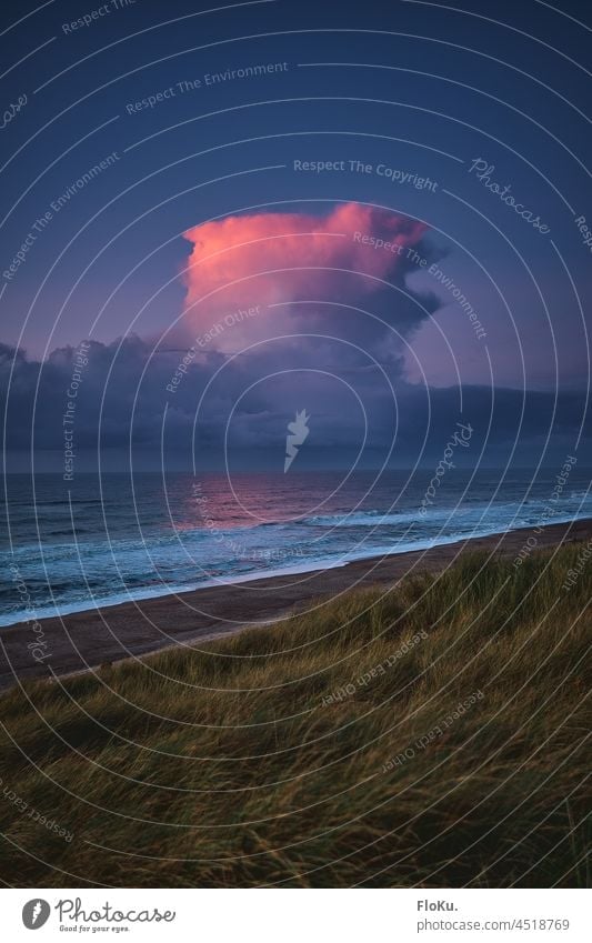 Lila Wolken über der dänischen Nordseeküste Küste Strand Düne Stranddüne Welle Wellen Dänemark Europe draußen Meer Ozean Abend Abendlicht Sonnenuntergang