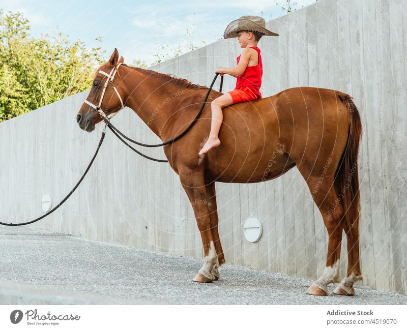 Kleiner Junge mit Cowboyhut sitzt auf einem braunen Pferd Reiter Kind Kabelbaum pferdeähnlich Mitfahrgelegenheit Ranch Tier Hut Kopfbedeckung Reiterin Bauernhof