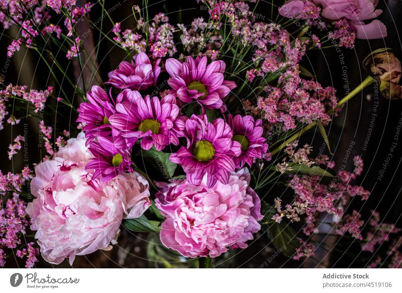 Blumenstrauß auf schäbigem Stuhl Chrysantheme Pfingstrose Vase verwittert geblümt Pflanze Blüte Blütezeit Gardine hölzern Haufen Glas Flora Licht farbenfroh