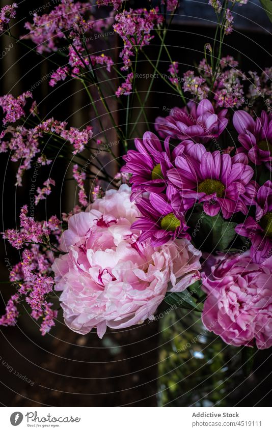 Blumenstrauß auf schäbigem Stuhl Chrysantheme Pfingstrose Vase verwittert geblümt Pflanze Blüte Blütezeit Gardine hölzern Haufen Glas Flora Licht farbenfroh