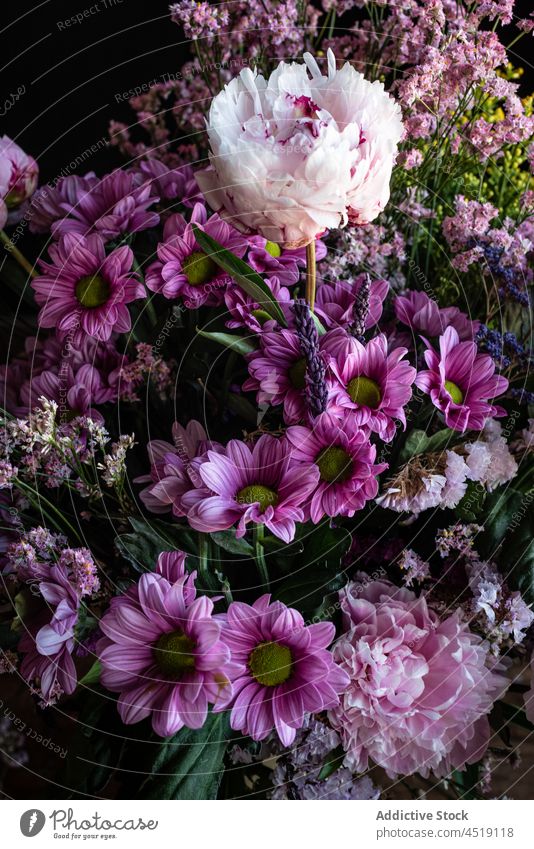 Blumenstrauß auf Holztisch Chrysantheme Pfingstrose Vase verwittert geblümt Pflanze Blüte Blütezeit hölzern Tisch Haufen Glas Flora farbenfroh Botanik botanisch