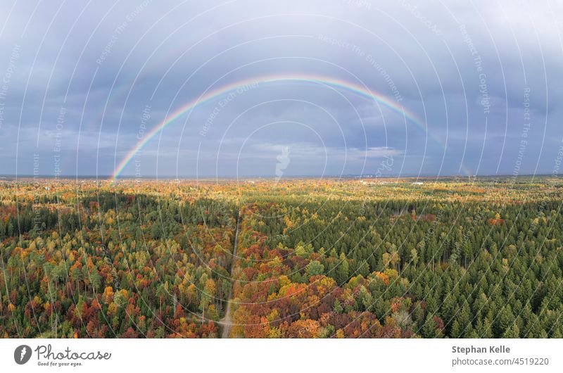 Doppelter Regenbogen über einem grünen und herbstlich gefärbten Wald als Konzept für die Schönheit unserer Natur in der regnerischen Herbstsaison. farbenfroh