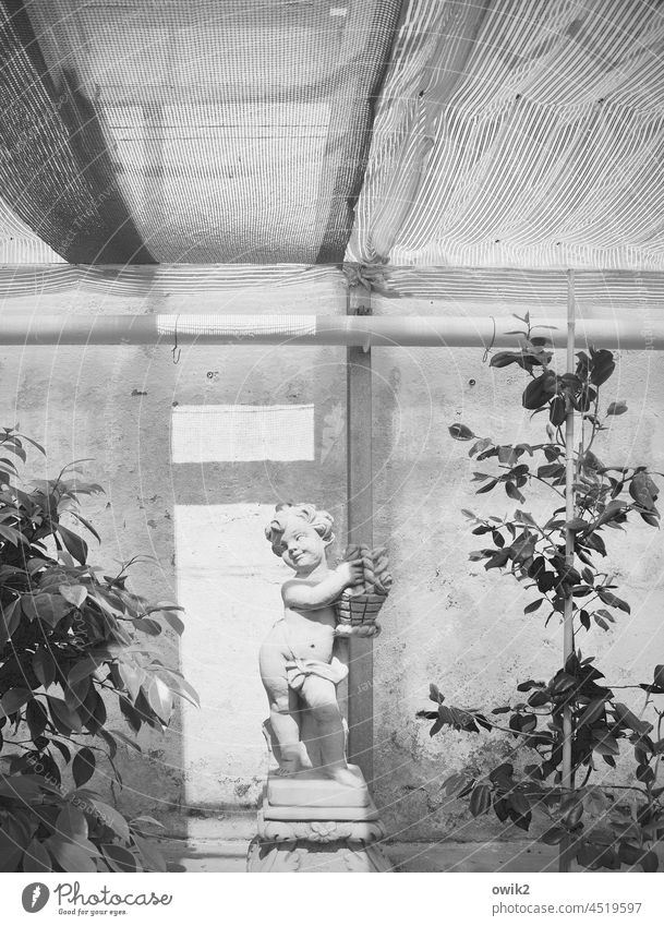 Cupido Putte Figur Barock Dekoration Zierde stehend klein kindlich Wand Fenster Gebäude Totale Strukturen & Formen Innenaufnahme Menschenleer Gärtnerei Raum