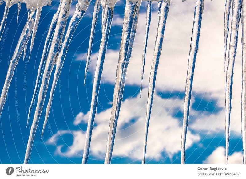 Vom Dach hängende Eiszapfen Tropfen Schönheit Kristalle hell Winter kalt zerlaufen weiß Frost Wetter Saison eisig Himmel Wasser blau Hintergrund Schnee glänzend
