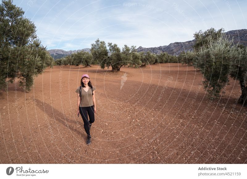 Asiatische Frau in der Nähe von Olivenbäumen oliv Baum Hain Schonung Landschaft Ackerland kultivieren Ackerbau Feld Sommer grün Verschlussdeckel digital Pflanze
