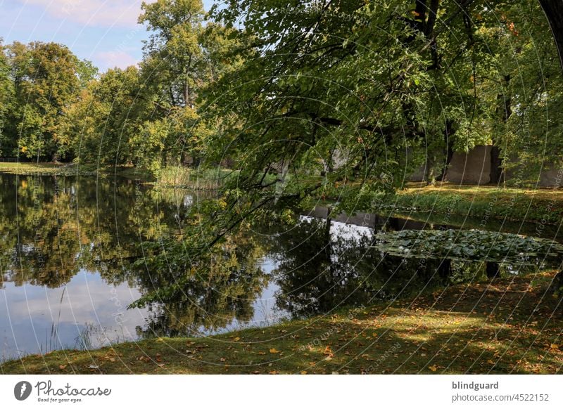Der kleine See im Lustgarten der Burg Krumau, in Tschechien an der Moldau künstlich romantisch ruhig Wasser erholsam Himmel Erholung Natur Landschaft Spiegelung
