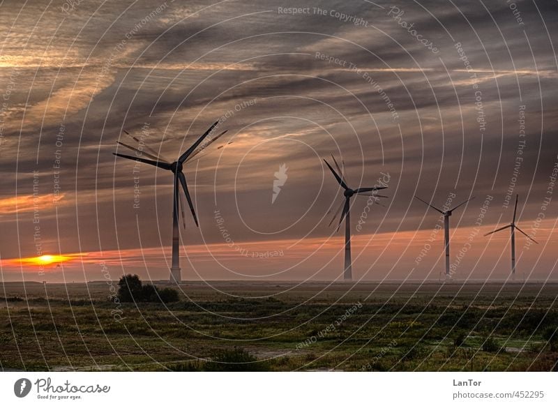 Erneuerbare Energien Energiewirtschaft Windkraftanlage Umwelt Natur Landschaft Sonnenaufgang Sonnenuntergang Nebel Deutschland Stimmung Business