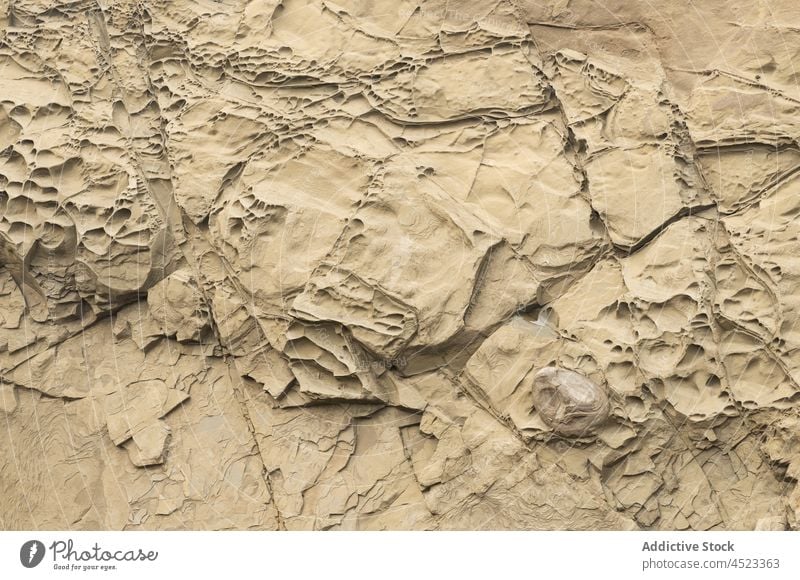 Sandstein und Konkretion Oregon Küste von Oregon Shore Acres State Park abstrakt braun Konkretisierung Detailaufnahme Erosion Formation geologisch Geologie