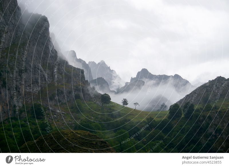 Blick auf eine schöne Naturlandschaft mit Bergen und Nebel. Landschaft neblig Asturien Spanien Route Park Hügel malerisch Wolken Abenteuer Ländliche Szene