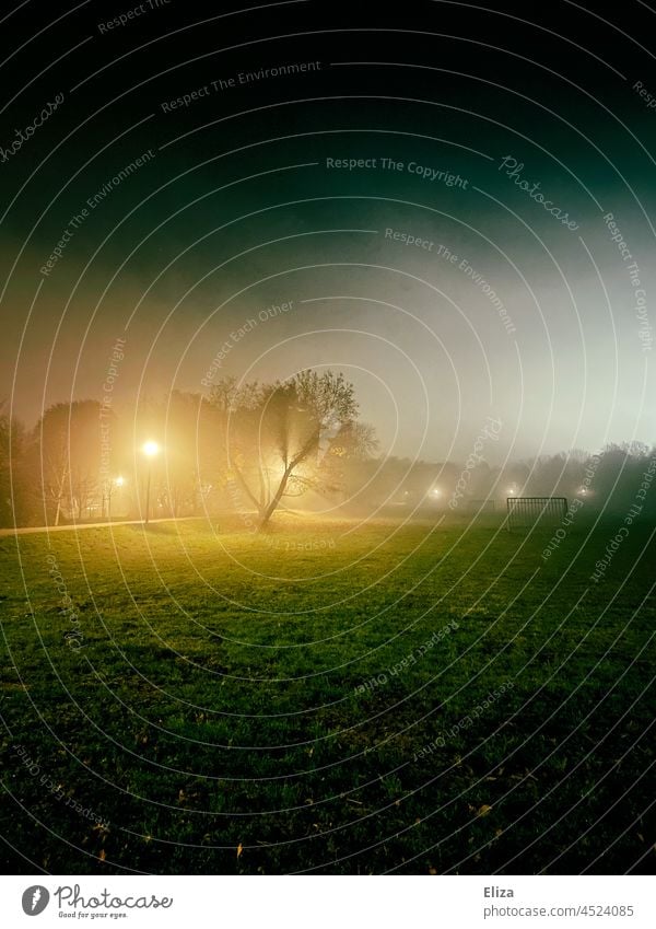 Ein Park in der nebeligen Dunkelheit der Nacht Nebel Baum Wiese unheimlich Straßenlaterne draußen mystisch gruselig geheimnisvoll dunkel Menschenleer